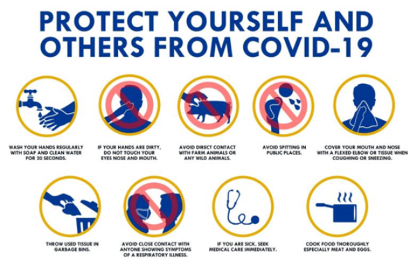 Safety Corner –  Coronavirus: What We Know and What We Can Do