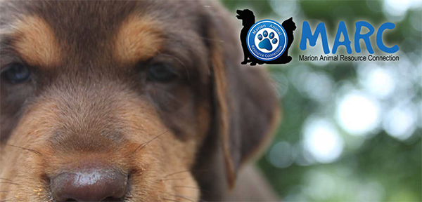 First Call Cares February Chattanooga Initiative: (MARC) Marion Animal Resource Connection